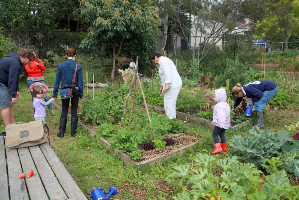 community garden