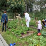 community garden