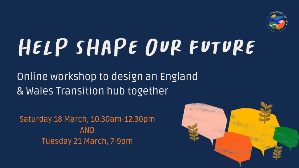 Transition Network - Help Shape Our Future webinar 1