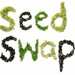 seed swap
