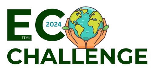 TTMK Eco challenge 2021