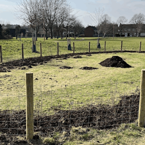 Whalley Drive Community Trees MK project